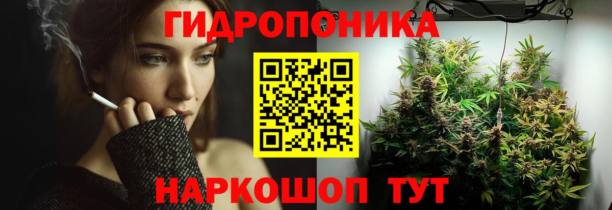 Шишки марихуана планчик  МАРИХУАНА тримм  Междуреченск  Вход с VPN  Бошки марихуана VHQ  Шишки марихуана AK-47 